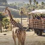 San Diego Zoo Safari Park