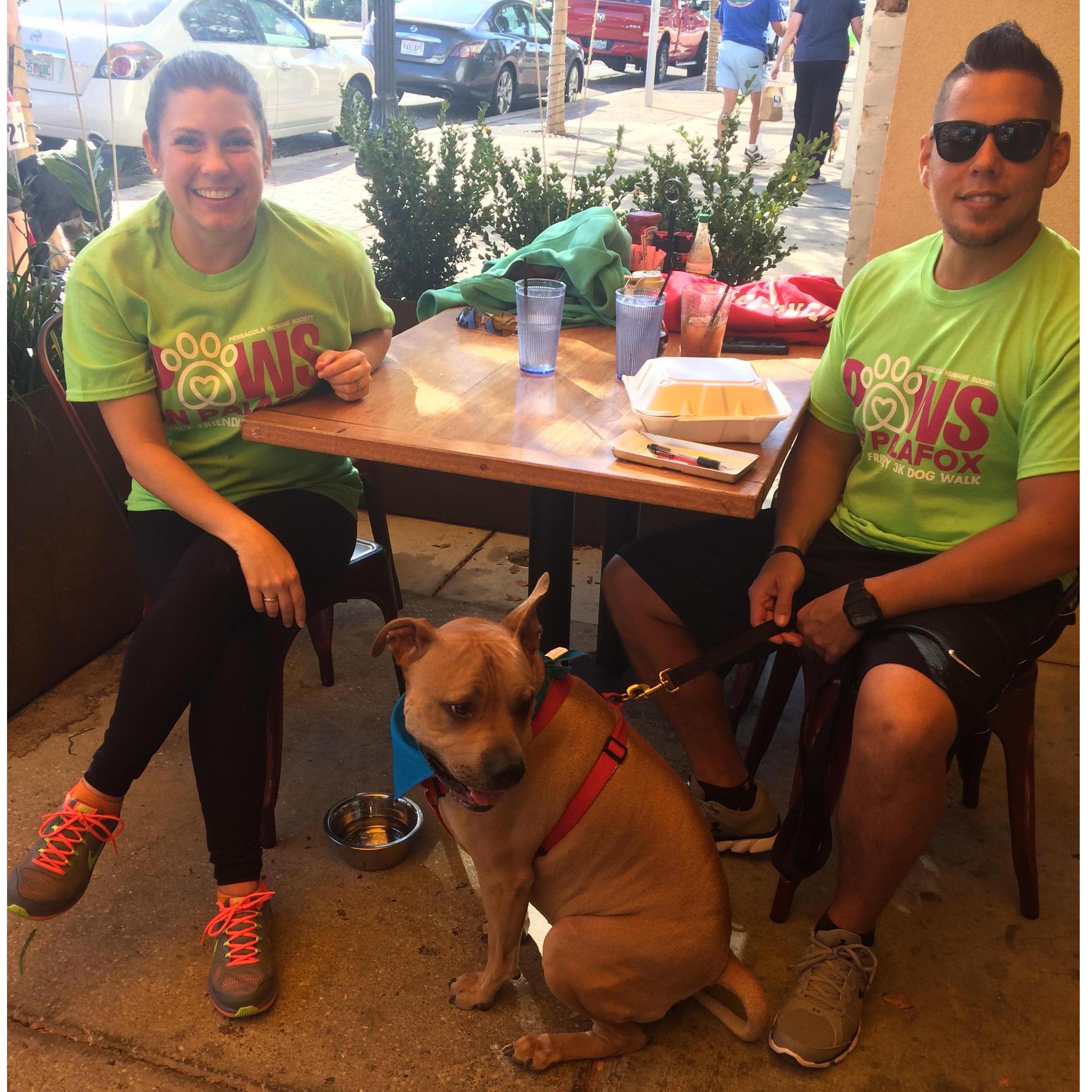 Paws on Palafox October 2016