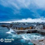 Monterey Bay Aquarium