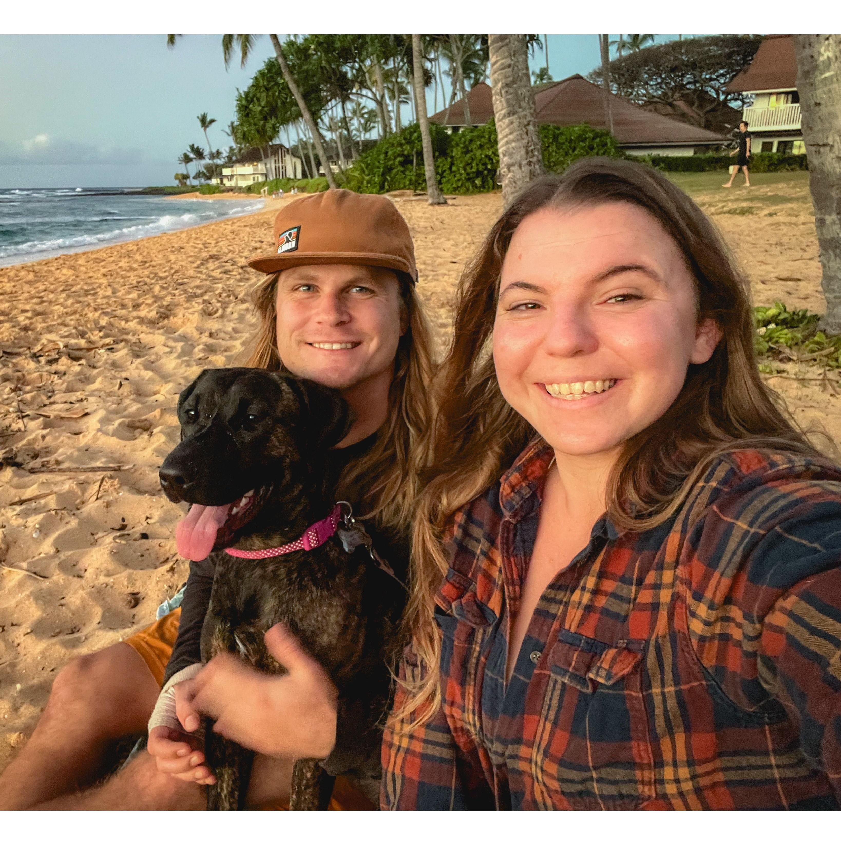 Our first week with our new family member: Montana!