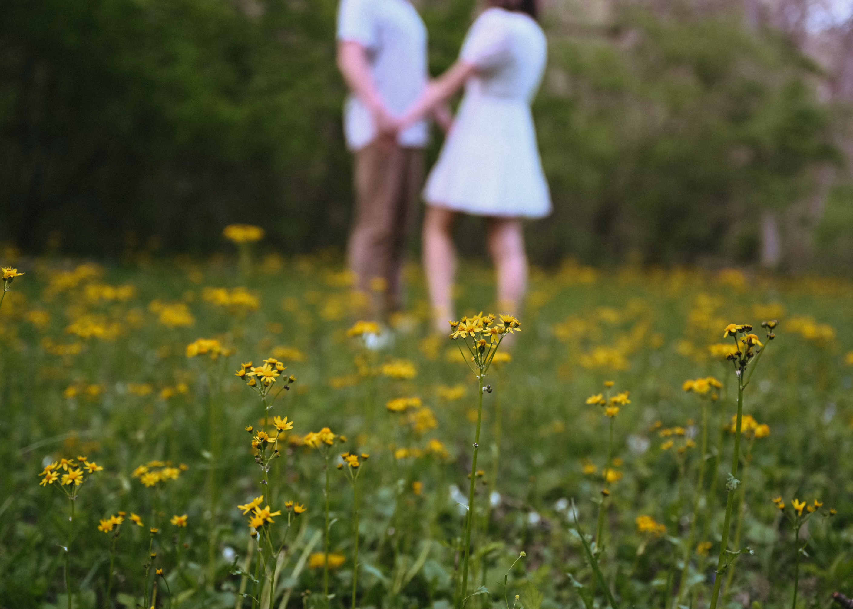 The Wedding Website of Davis Russcher and Carolyn Goyne