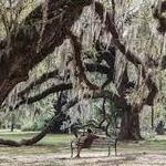New Orleans City Park