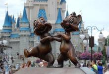 Discounted Park Tickets
