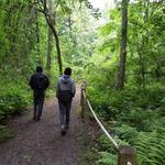 Mass Audubon's Broad Meadow Brook Conservation Center and Wildlife Sanctuary