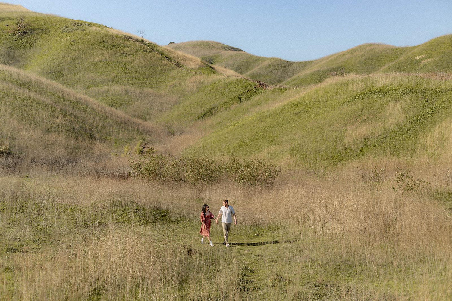 The Wedding Website of Amanda Vasallo and Sean Hartwick