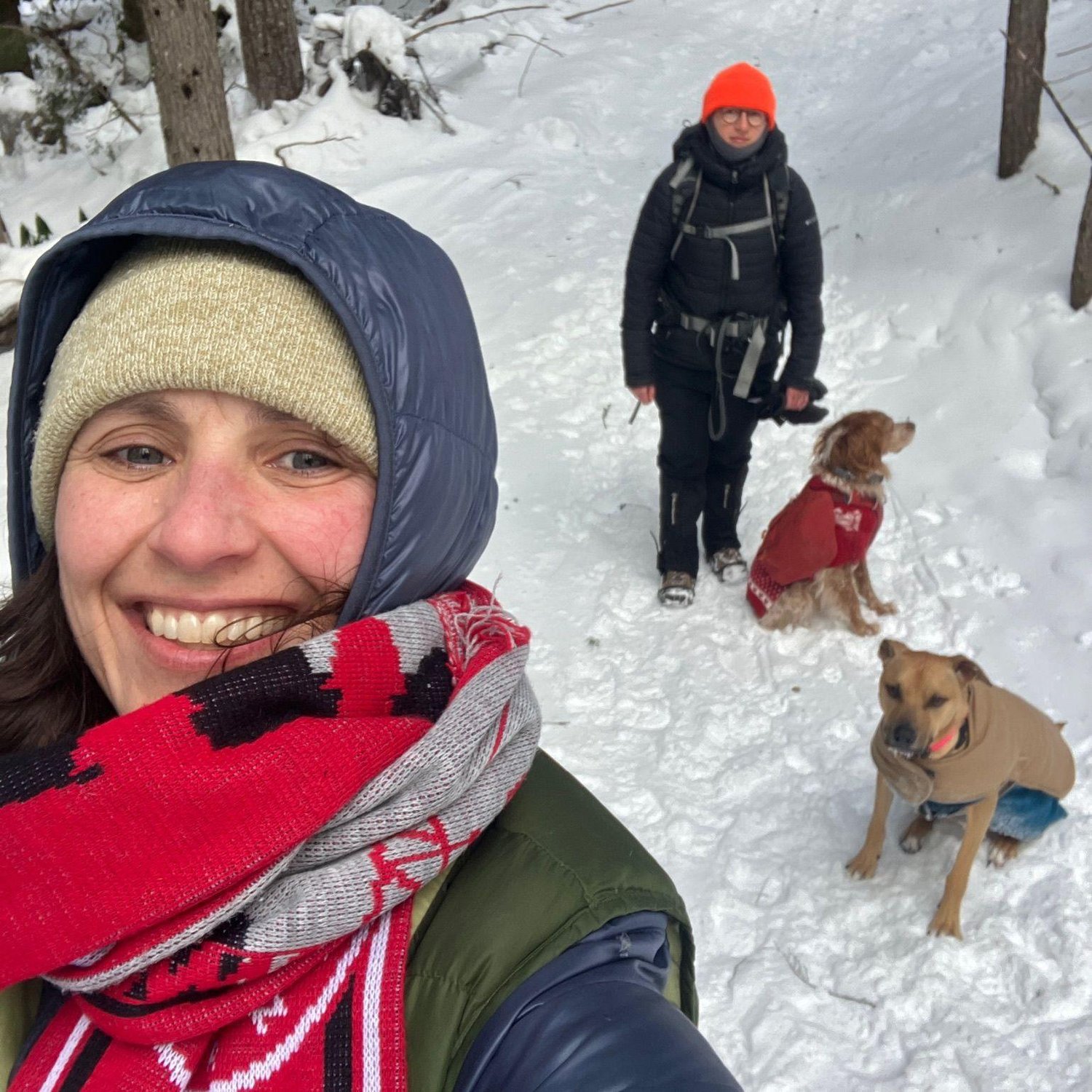 Hitting trails up on Mt Hood. I'd say she's having more fun than it looks but I don't think she did. Our dogs are real PITAs.