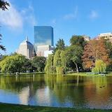Explore Beacon Hill & Picnic in the Public Garden