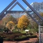 Botanical Gardens