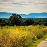 Take a walk around Greenport Conservation Area