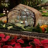 Krohn Conservatory