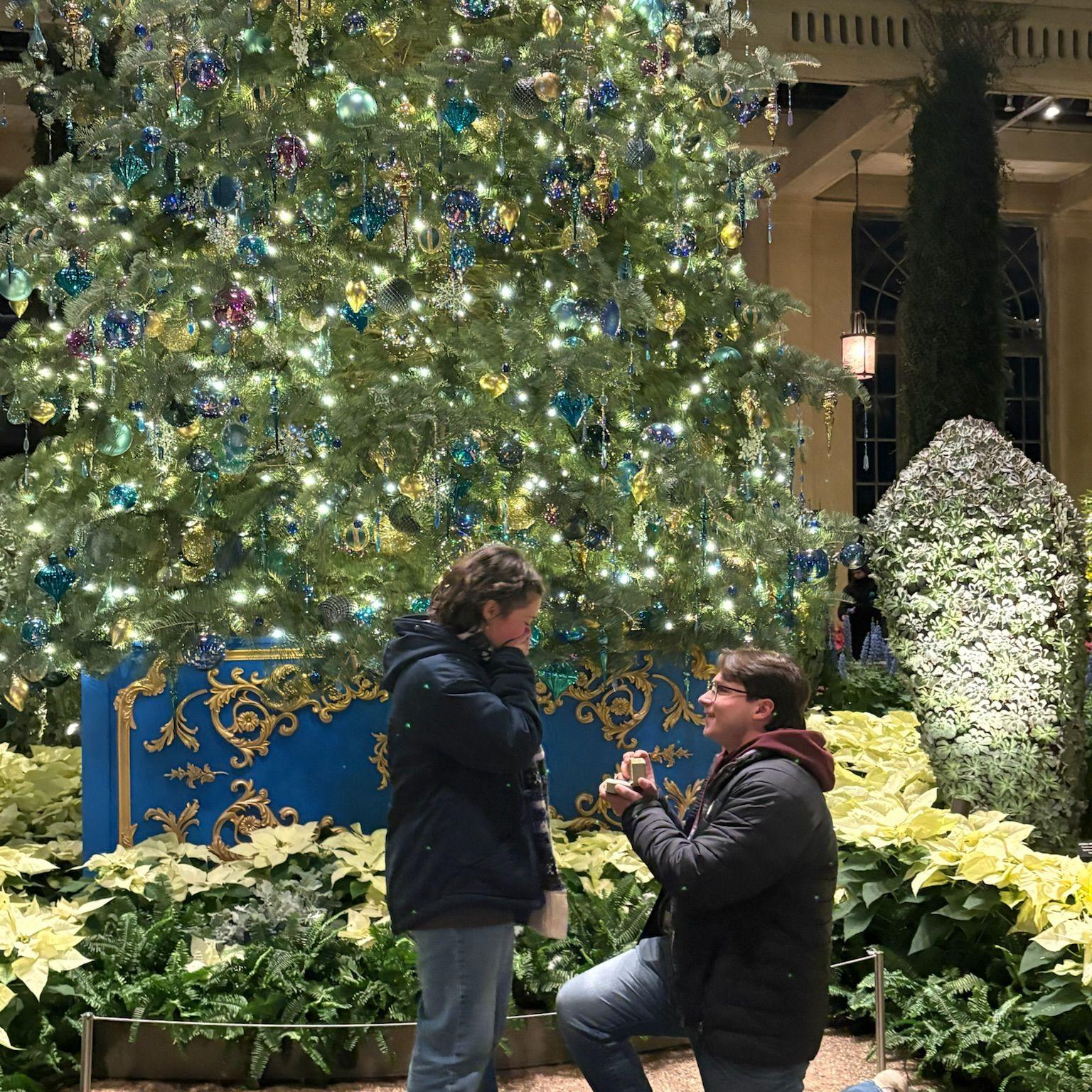 The moment Eli popped the question