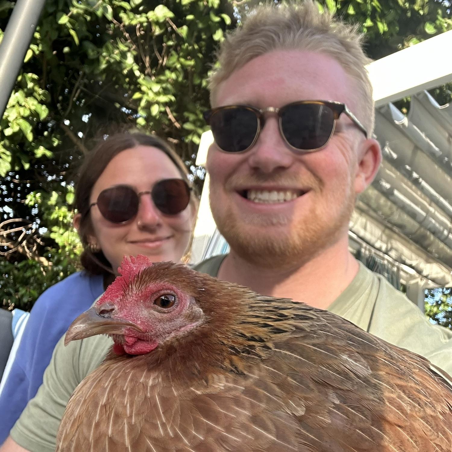 Snuggling with a random chicken we found on our hotel grounds in Key West, Florida