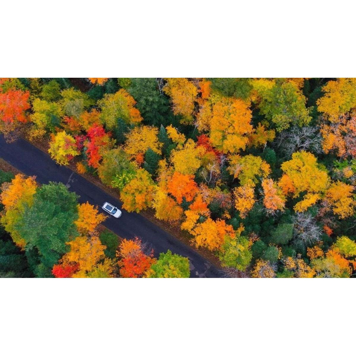 God's Masterpiece. We are planning an "Autumn Color" road trip following the wedding up into the Wisconsin Dells, and wherever our hearts take us from there.