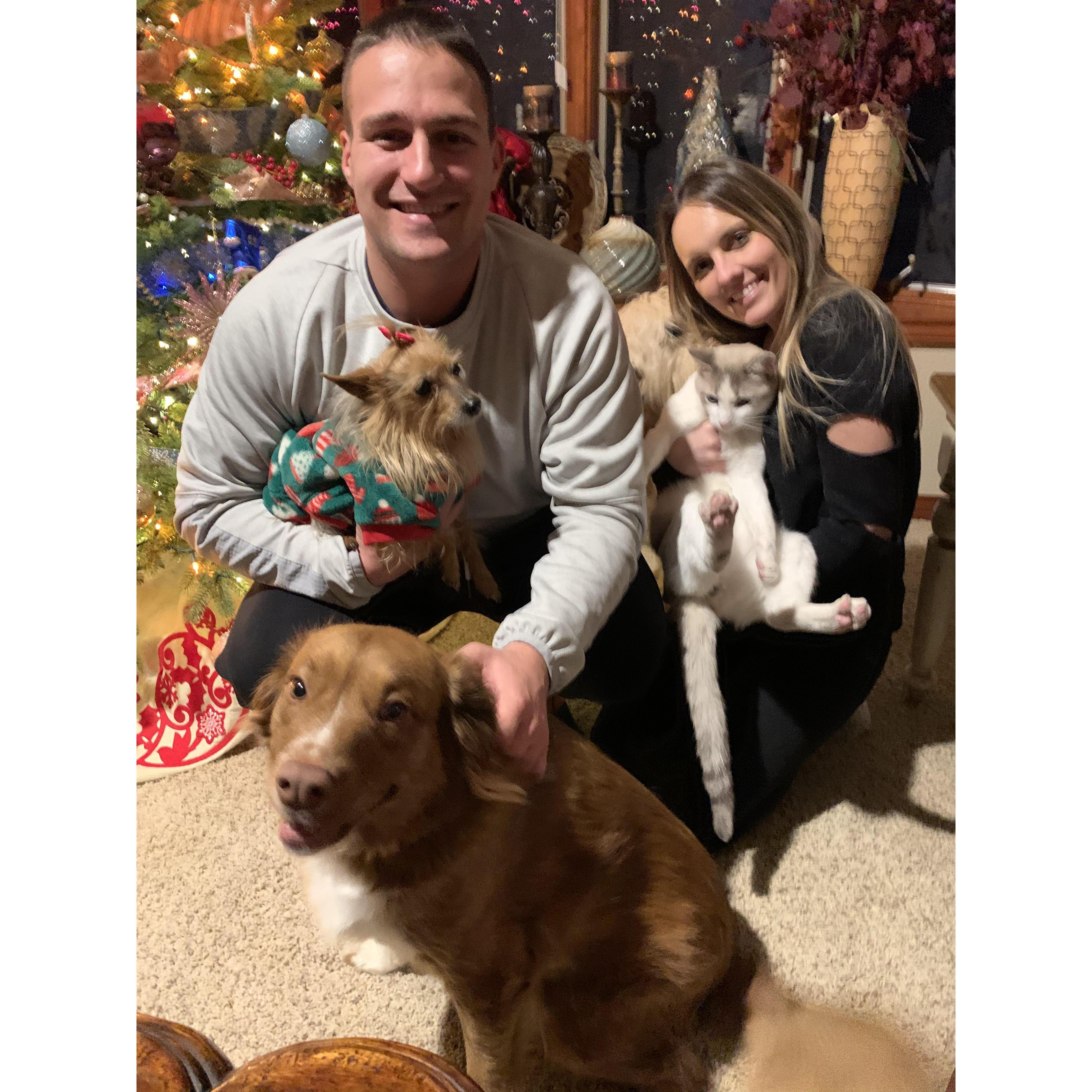 Christmas 2019 - attempted family photo with our fur babies Zelda, Juicy & Gucci