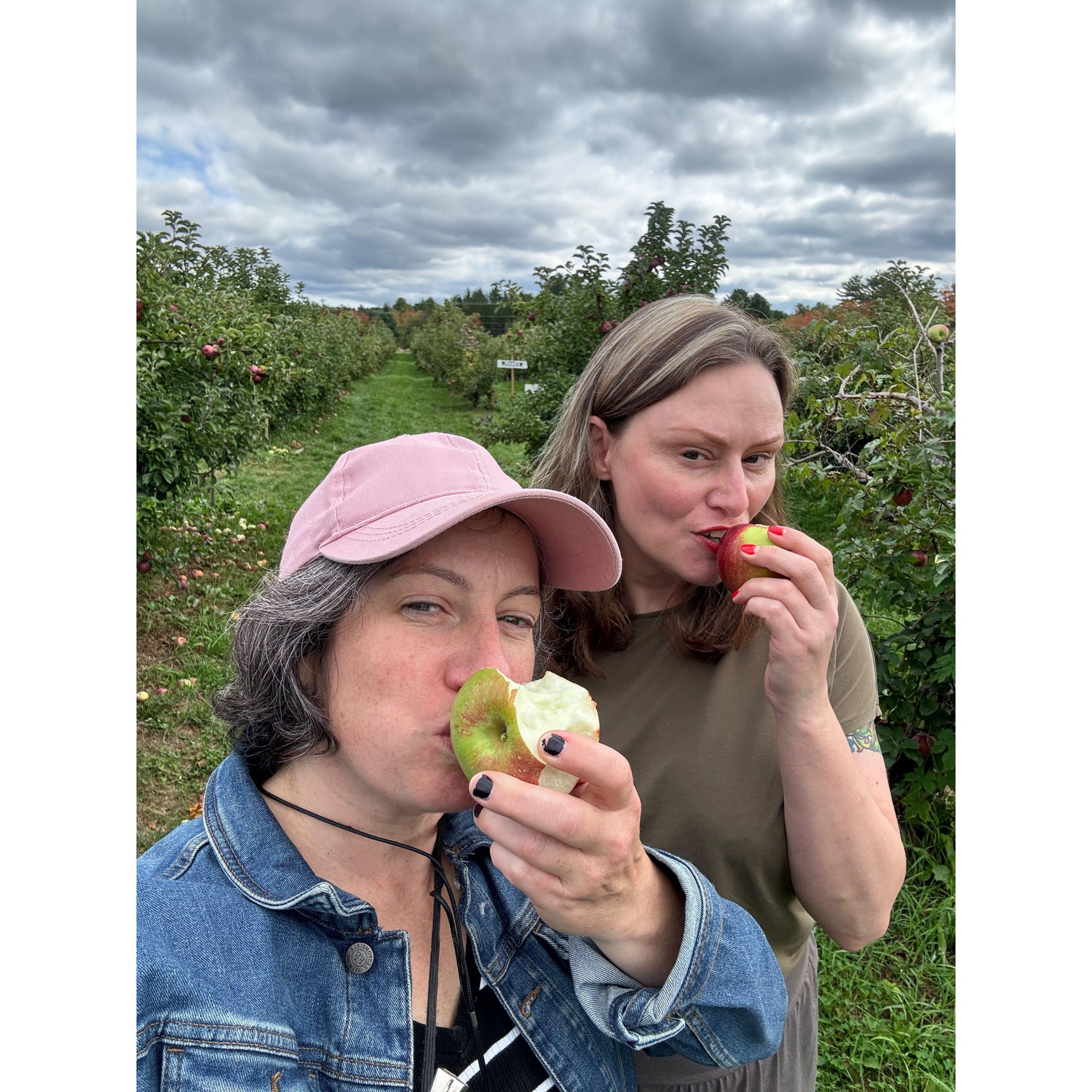 Apple picking in New Hampshire.