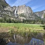 Yosemite National Park