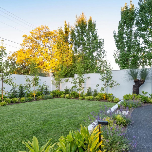 Backyard Renovation