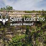 The Saint Louis Zoo