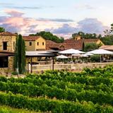 Take a wine tour in Fredericksburg