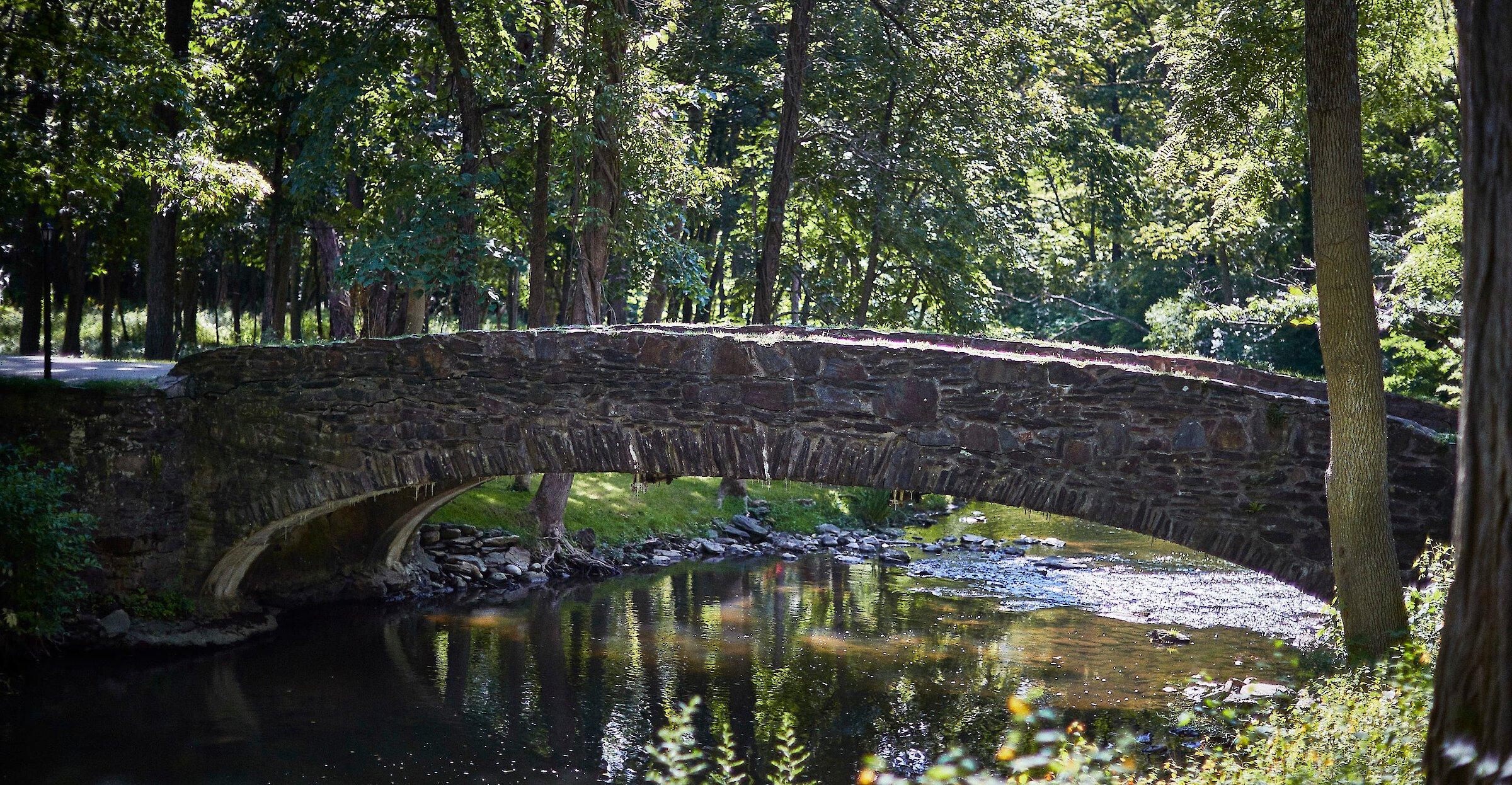 The Wedding Website of Maggie Miller and Mike McDougall