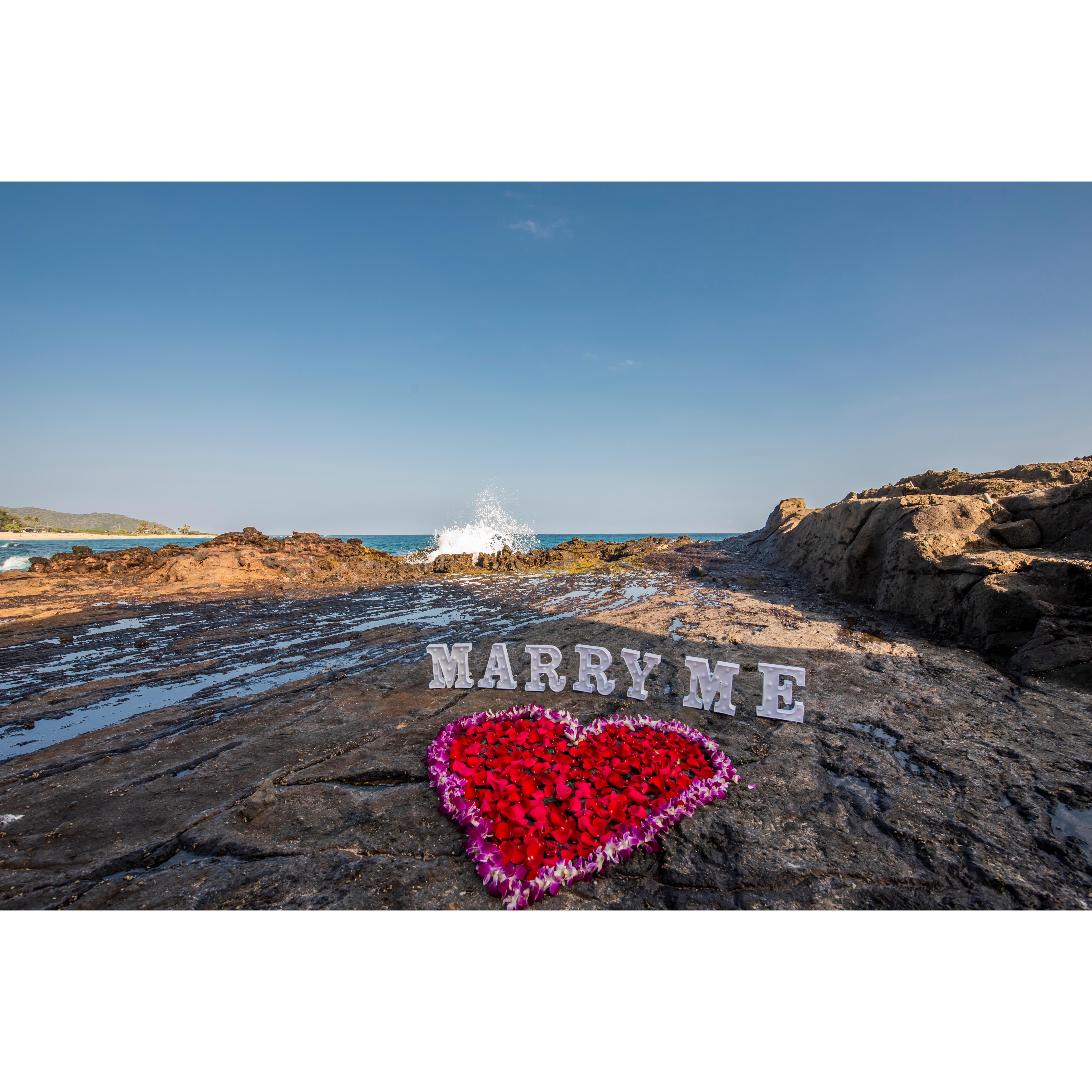 The proposal spot, 01/10/2023.