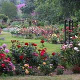 Descanso Gardens