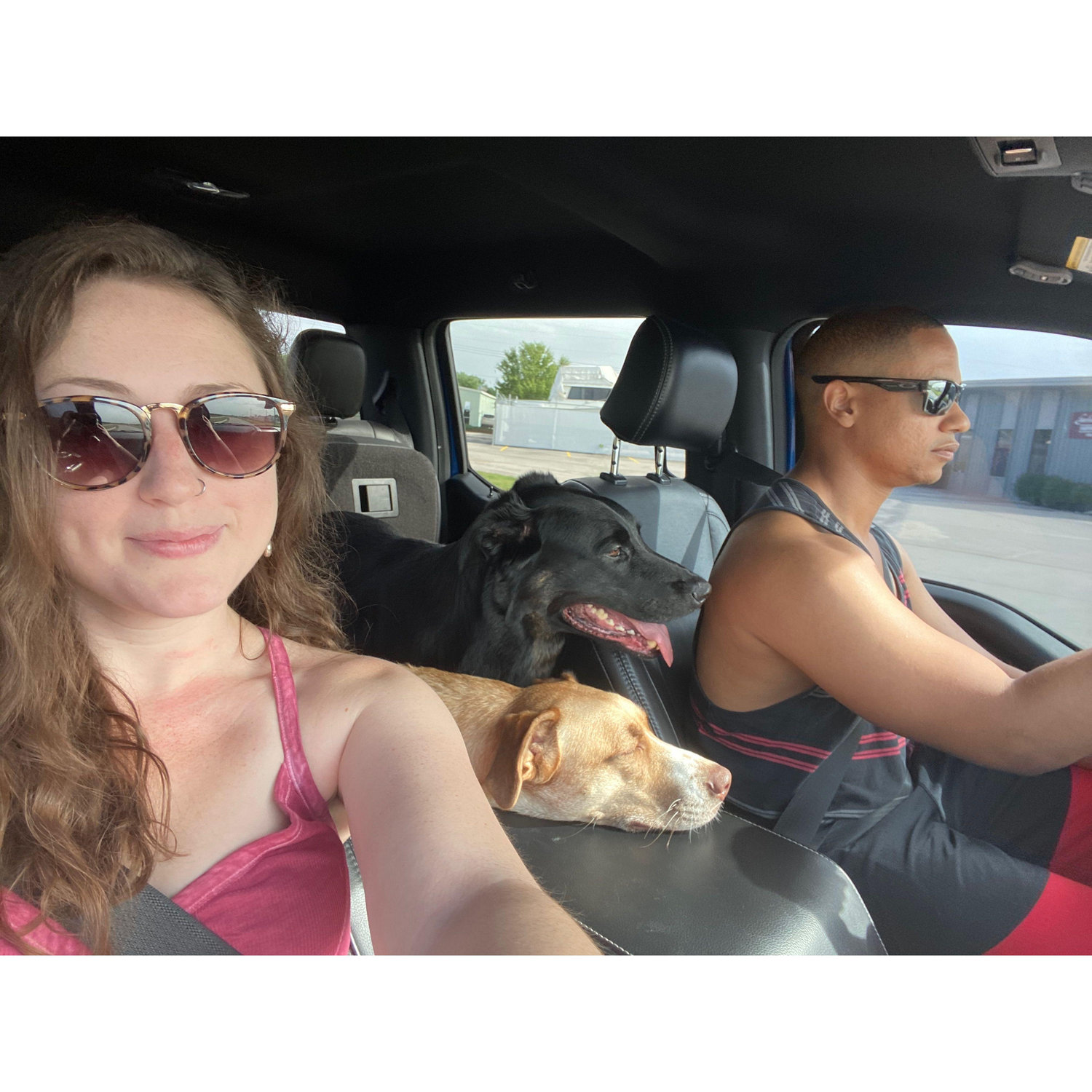 Road tripping with the pups.