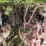 International Market Place Shopping Center