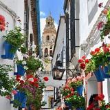 Calleja de las Flores