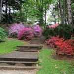 Highland Park Arboretum