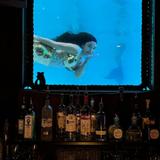 The Wreck Bar
