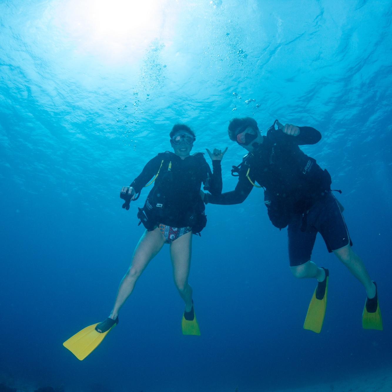 Diving in Honduras! (2025)