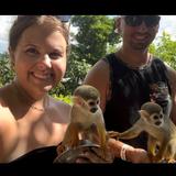 Monkeyland Puerto Plata