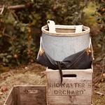Showalter’s Orchard & Greenhouse