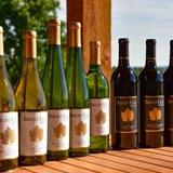 Bright Leaf Vineyard