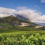 Kanonkop Wine Estate