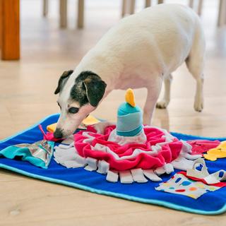 Celebration Snuffle Mat