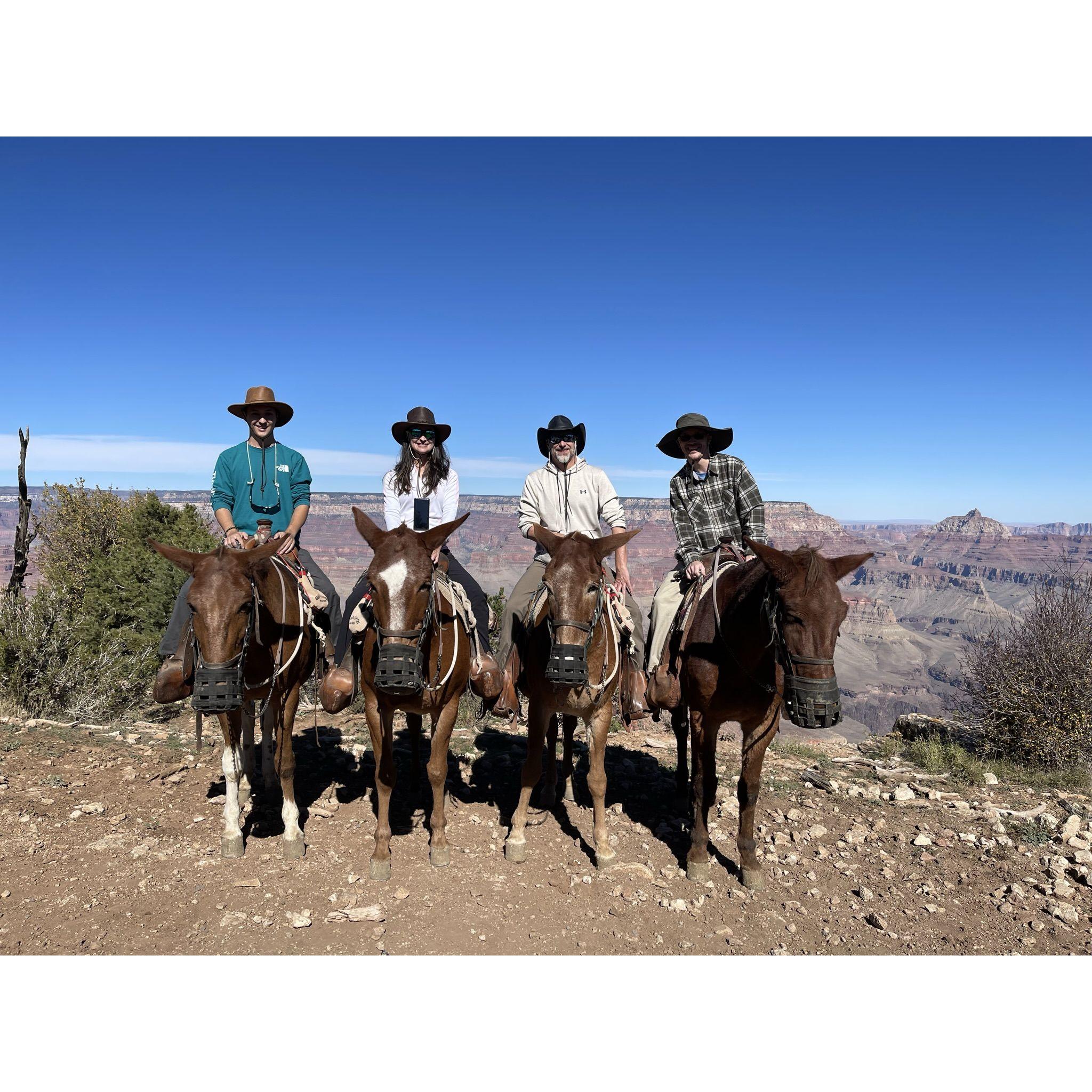 Mule riding at the Grand Canyon