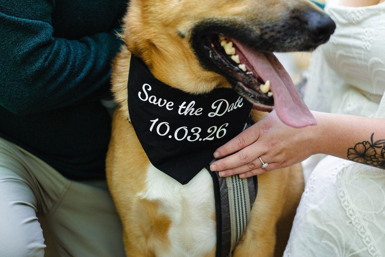 The Wedding Website of Briana Dubay and David Fritz