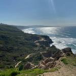 Torrey Pines State Reserve