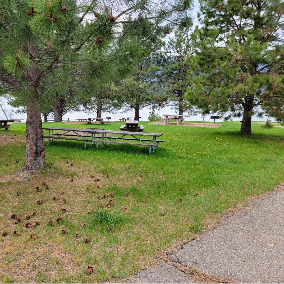 Tent Area