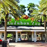 Audubon Zoo