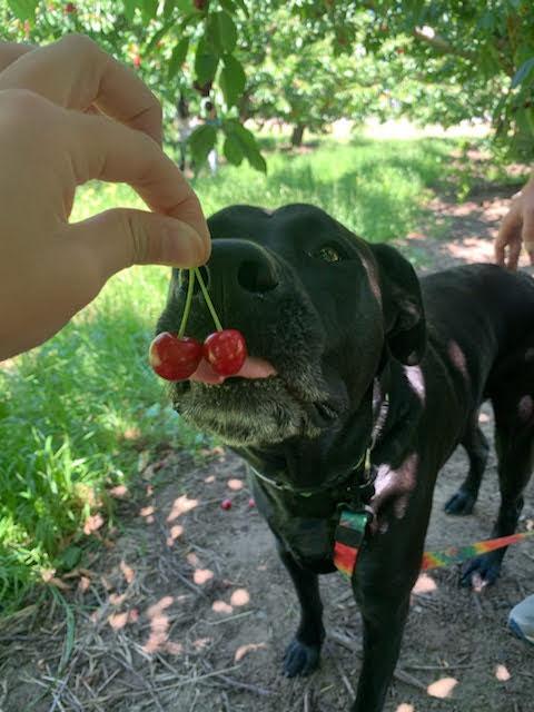 The Wedding Website of Jocelyn Agnelli and Sean Murphy