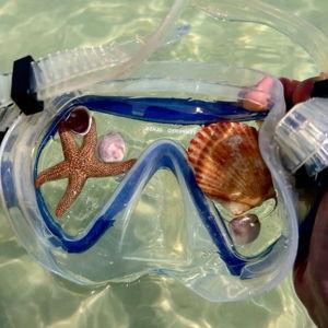 Snorkeling Tour