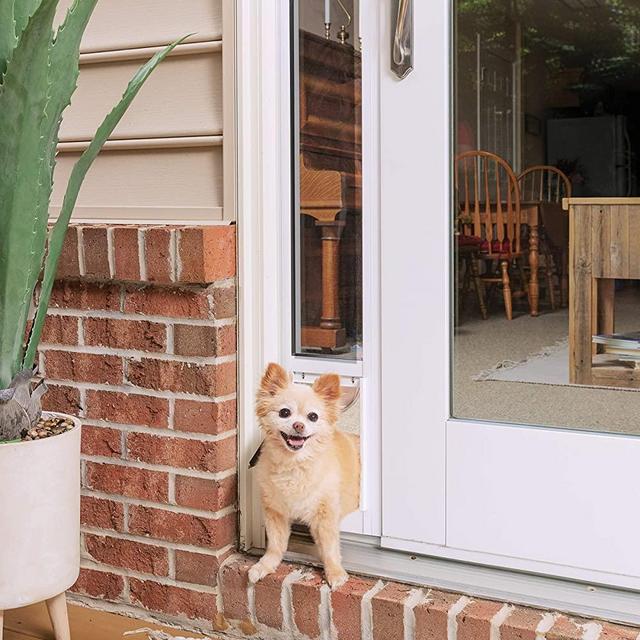 PetSafe Sliding Glass Cat and Dog Door Insert - Great for Apartment and Patio Slider Doors - Small, Medium, Large Pets