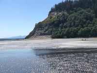 Double Bluff County Park