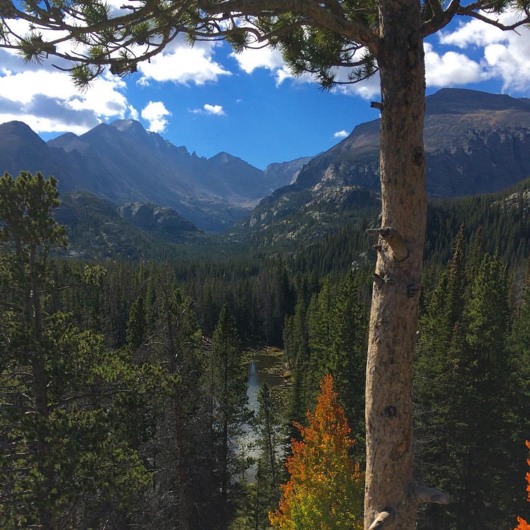 Hiking in Estes Park when we matched on Bumble.