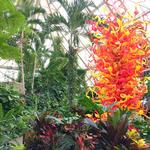 Franklin Park Conservatory and Botanical Gardens