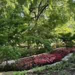 The Dallas Arboretum and Botanical Garden