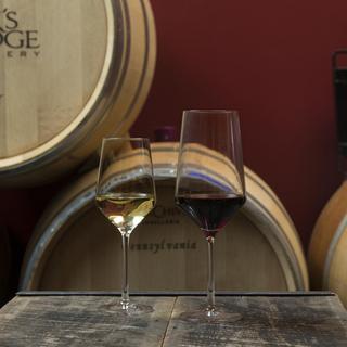 ロッセルダカラ50.4ミリ　F + + + 768f4d9b-44df-45ec-95e6-